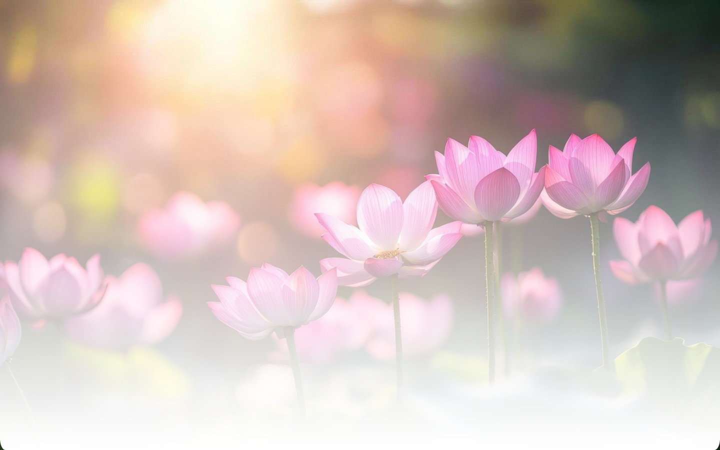 Liên hệ với chúng tôi